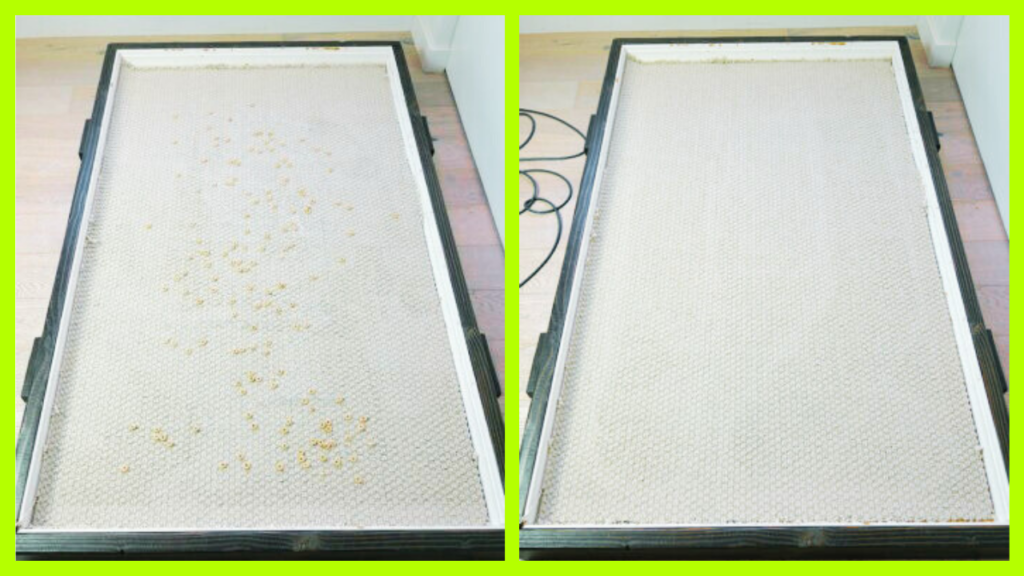 Ecovacs T30s Combo Complete